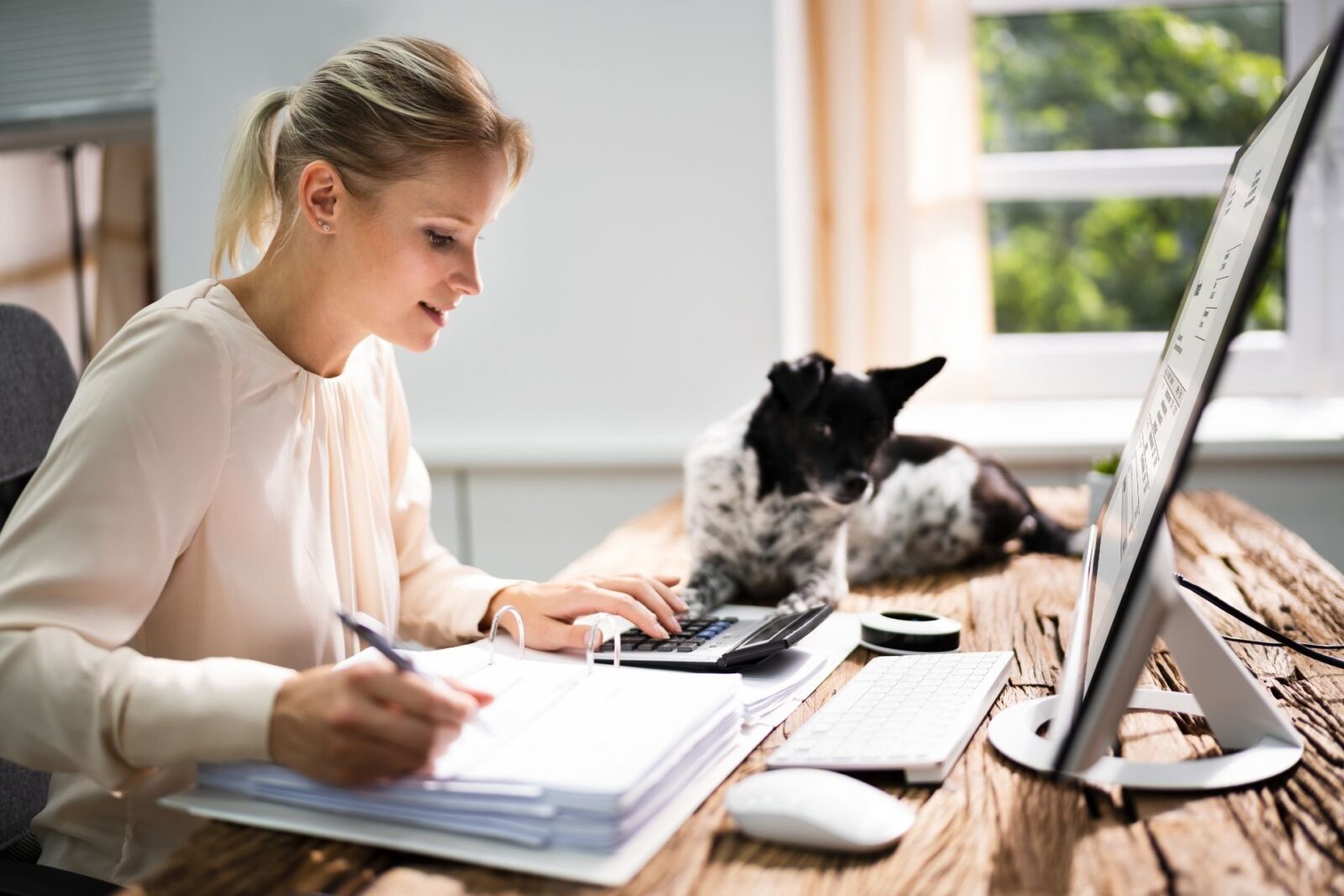 Canadian Taxation cta